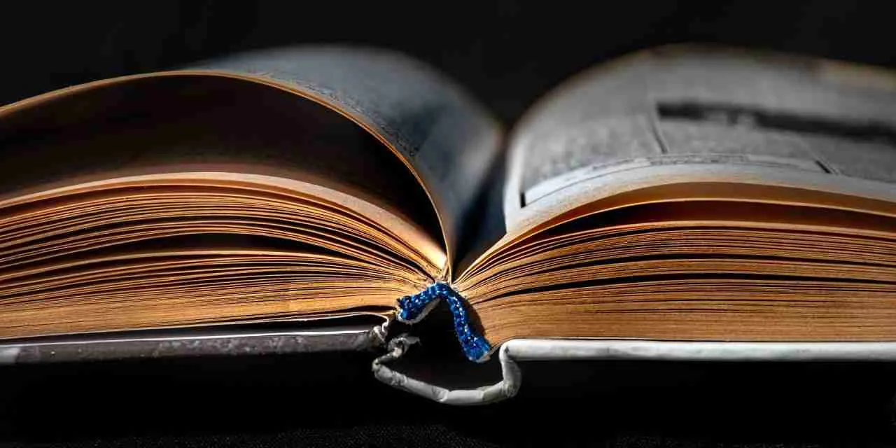 Raccontare la tua storia professionale con il formato articolo su LinkedIn